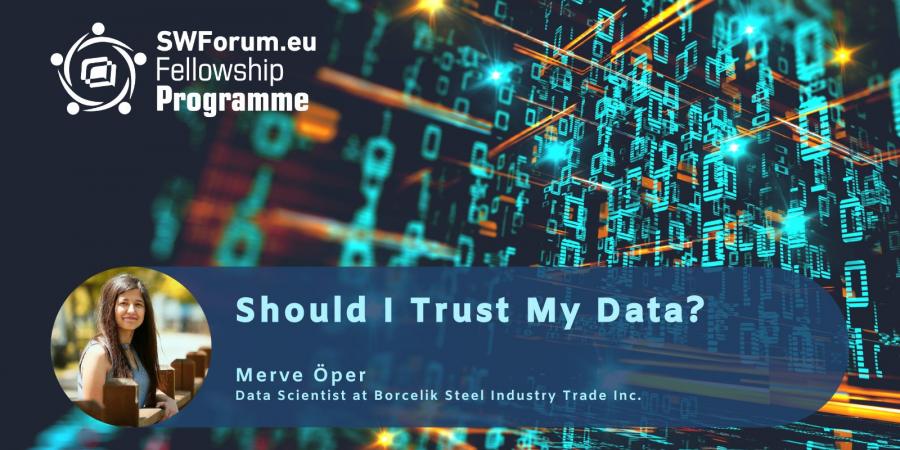 Online SWForum Blog: Should I trust my data?